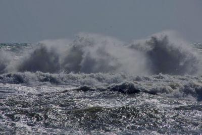 Прикрепленное изображение: 111IMGP4294.jpg